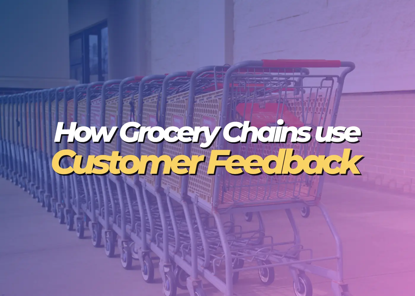 how grocery chains use customer feedback